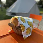 Glamping Les Arpents Verts 营地 Yvoir